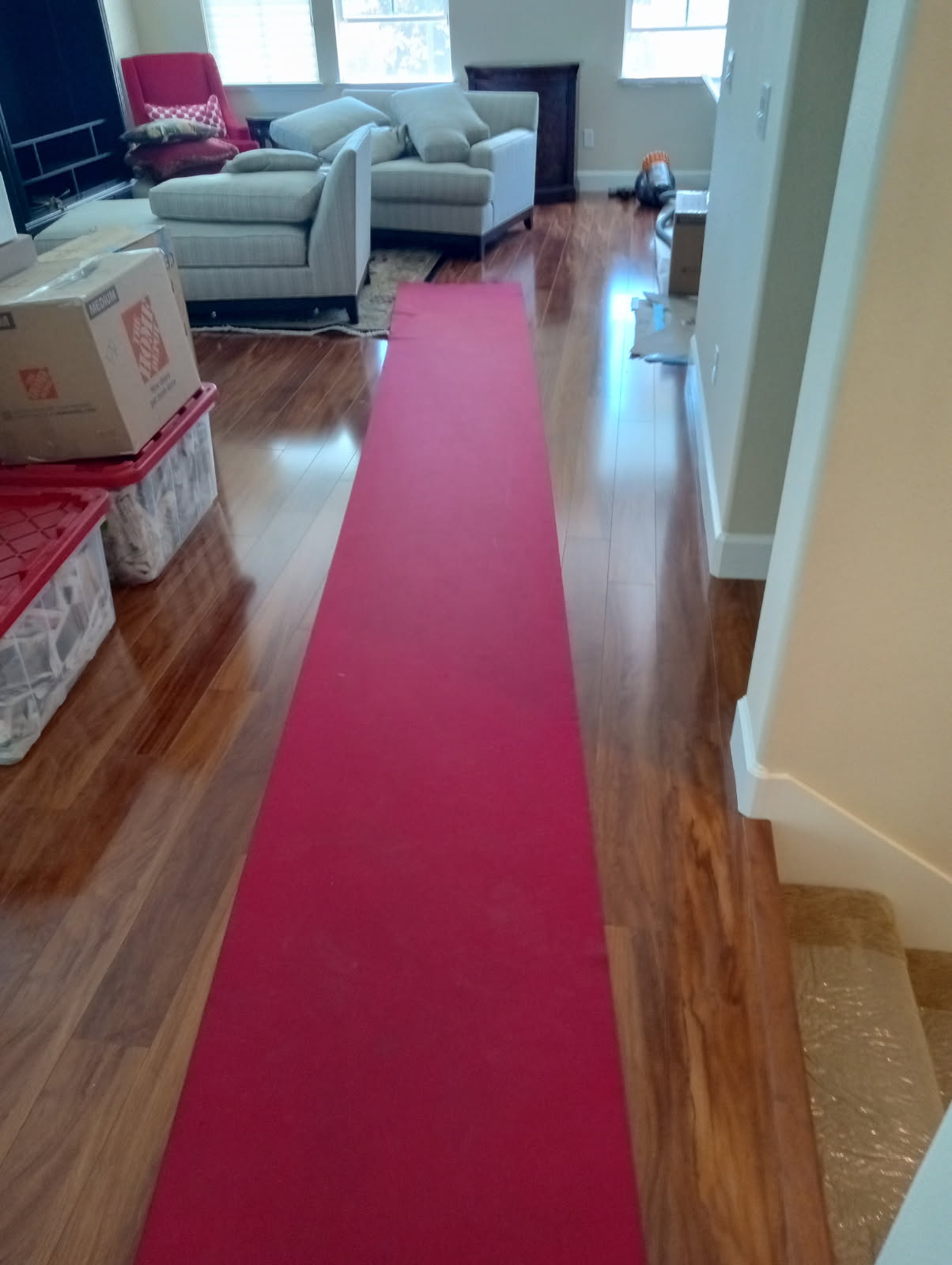 Professional moving team